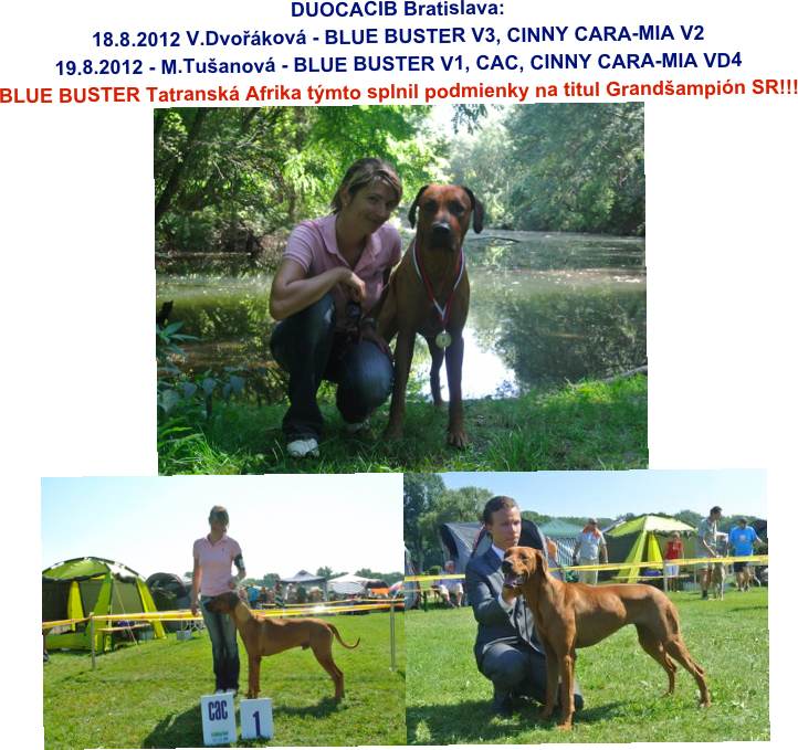 DUOCACIB Bratislava:
18.8.2012 V.Dvořáková - BLUE BUSTER V3, CINNY CARA-MIA V2
19.8.2012 - M.Tušanová - BLUE BUSTER V1, CAC, CINNY CARA-MIA VD4
BLUE BUSTER Tatranská Afrika týmto splnil podmienky na titul Grandšampión SR!!!
￼
￼￼