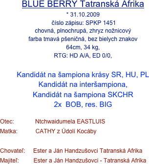 BLUE BERRY Tatranská Afrika
* 31.10.2009
 číslo zápisu: SPKP 1451
chovná, plnochrupá, zhryz nožnicový
farba tmavá pšeničná, bez bielych znakov
64cm, 34 kg, 
RTG: HD A/A, ED 0/0, 

Kandidát na šampiona krásy SR, HU, PL
Kandidát na interšampiona,
Kandidát na šampiona SKCHR
2x  BOB, res. BIG

Otec:             Ntchwaidumela EASTLUIS                     
Matka:           CATHY z Údolí Kocáby

Chovateľ:     Ester a Ján Handzušovci Tatranská Afrika
Majiteľ:         Ester a Ján Handzušovci - Tatranská Afrika